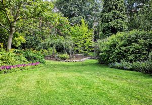 Optimiser l'expérience du jardin à Leguillac-de-Cercles